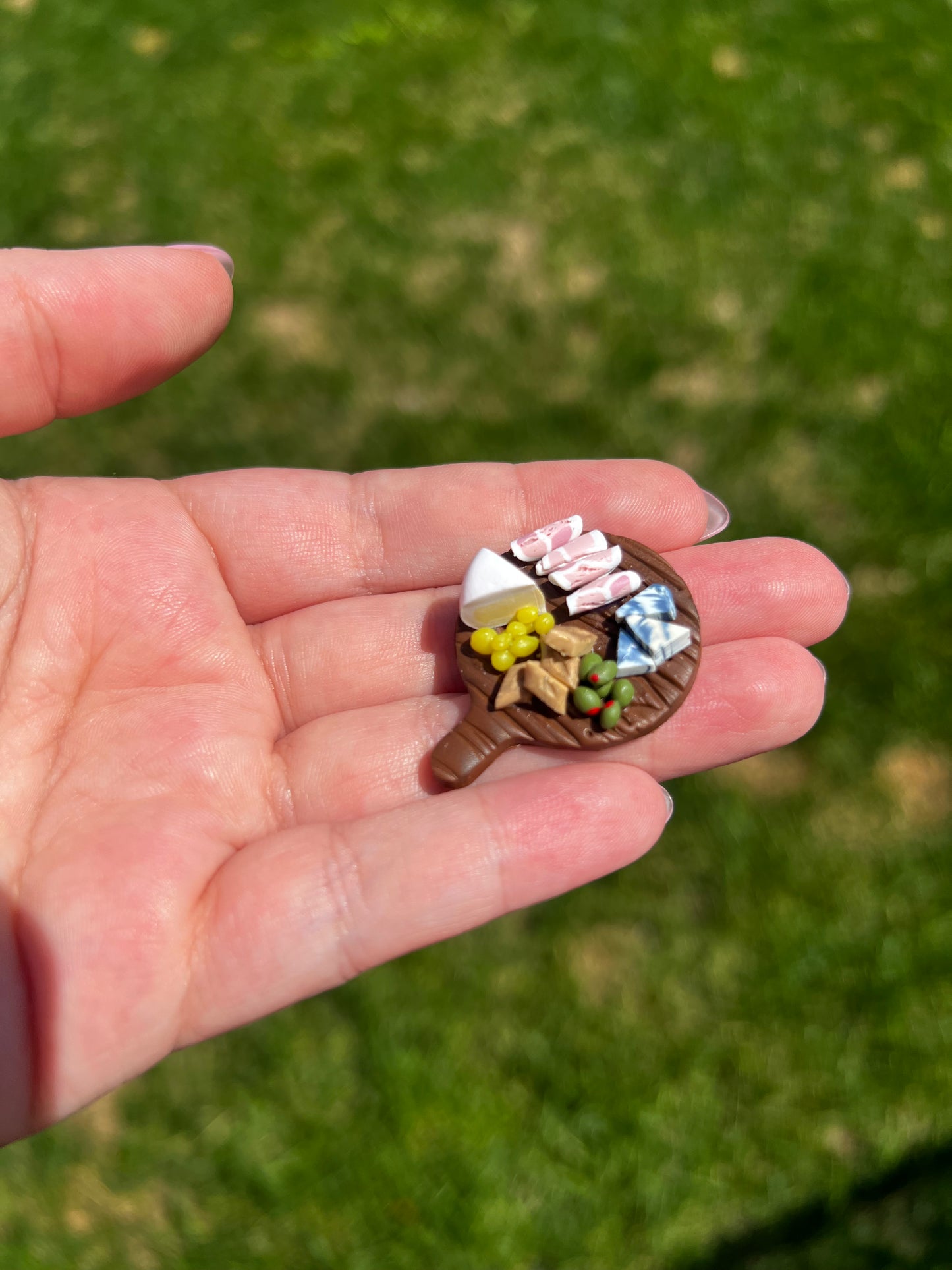 Mini Charcuterie Fridge Magnet 8