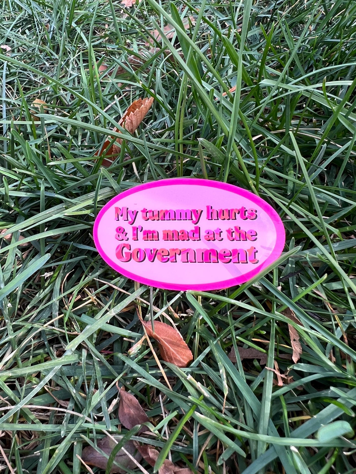 My Tummy Hurts and I’m Mad at the Government Sticker
