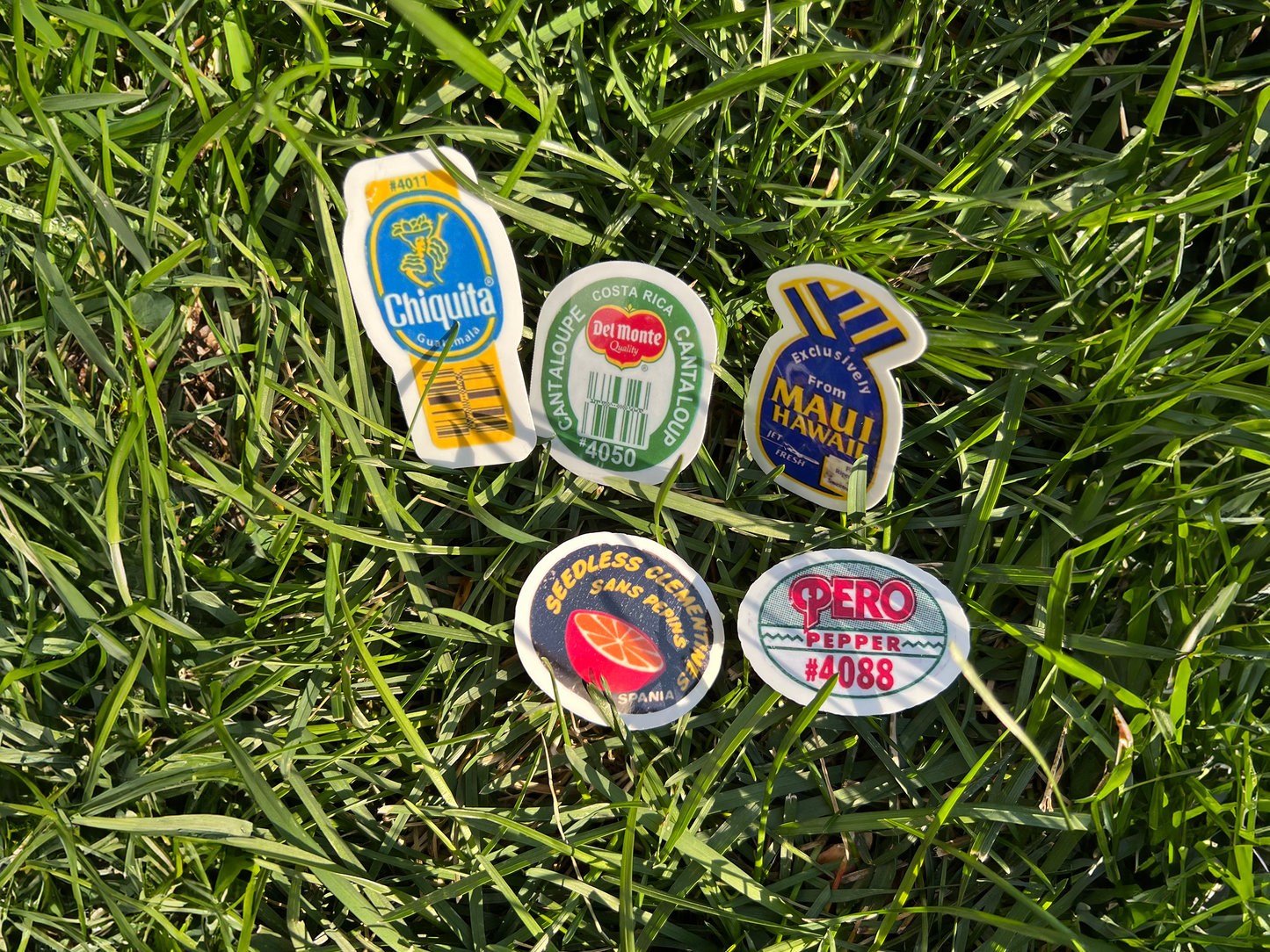 Vintage Fruit Sticker Pack