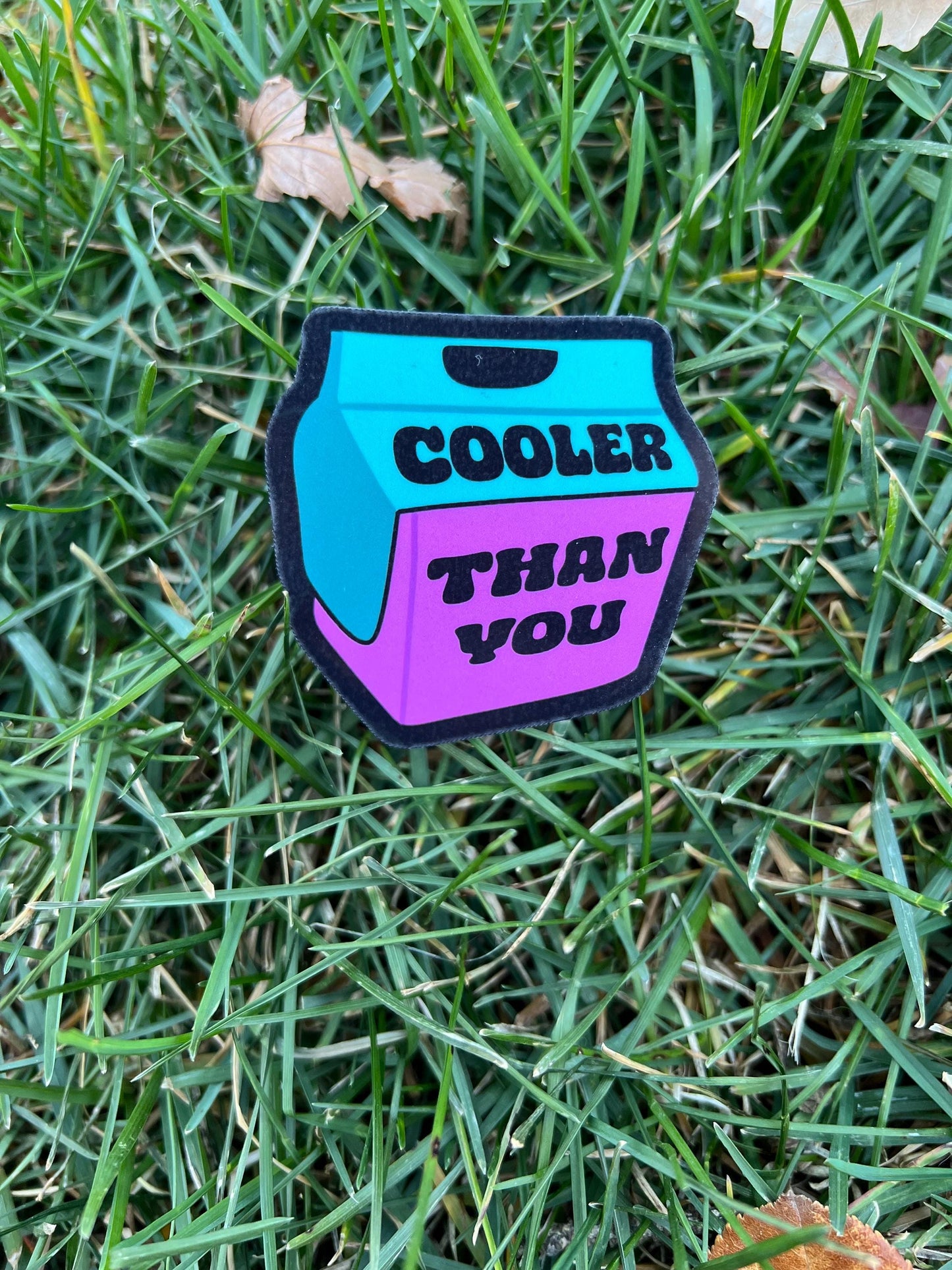 Cooler Than You Sticker