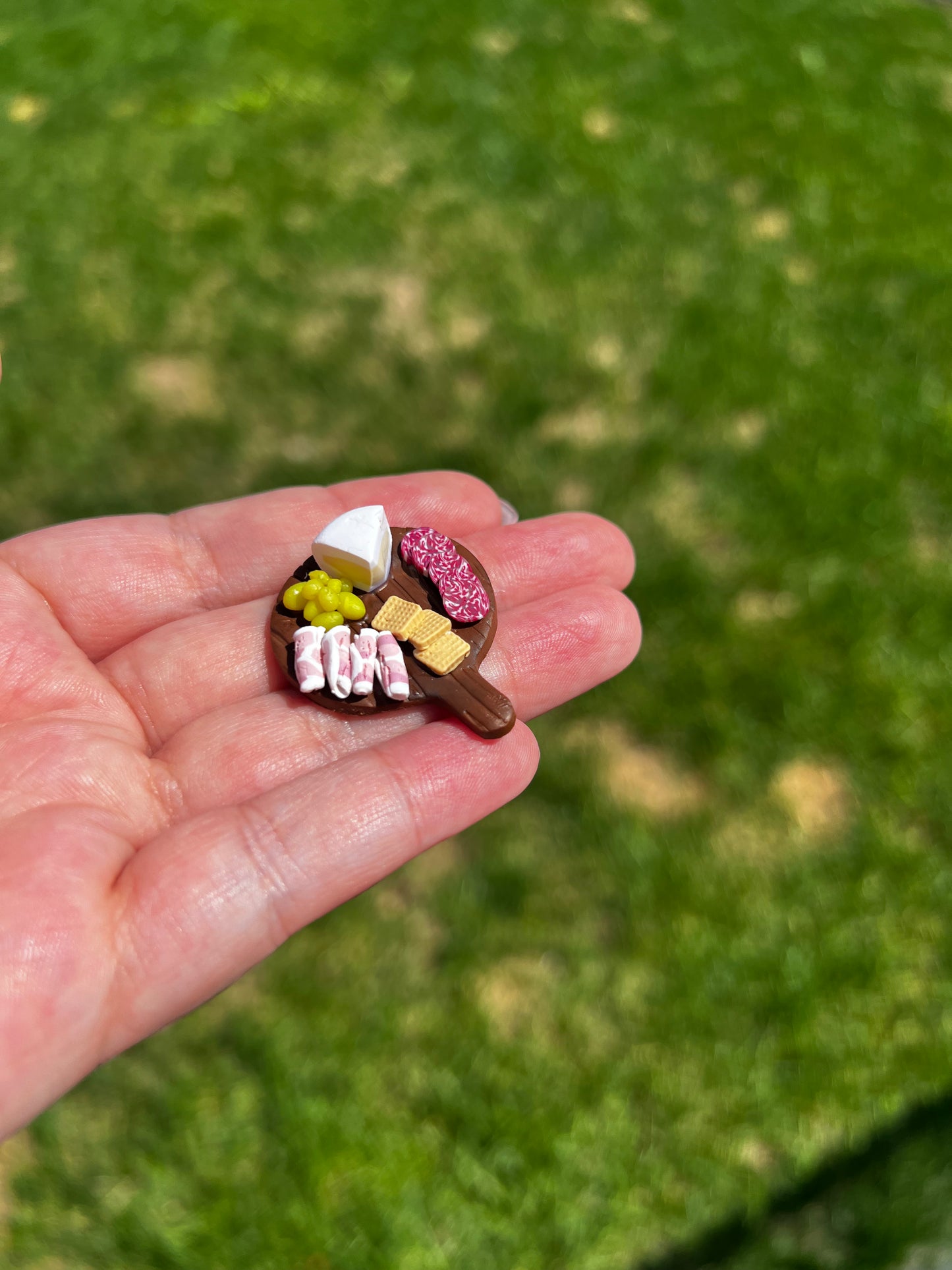 Mini Charcuterie Fridge Magnet 4